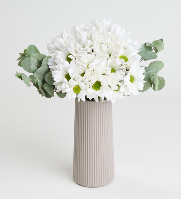 Bej Çizgili Polimer Vazoda Beyaz Papatyalar - Çiçek Görseli
